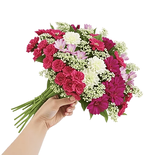 Petal Grace Harmony