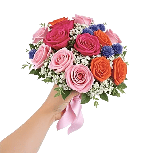 Pastel Pink Roses