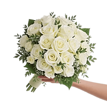 Ivory Garden Grace