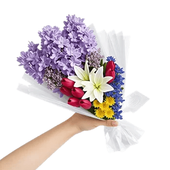 Blossom Harmony Display