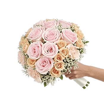 Pastel Pink Roses