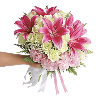 Blushing Rose Symphony