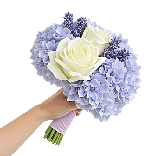 Serene Petal Harmony