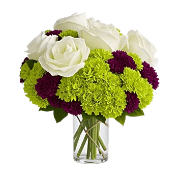 Ivory Blossom Radiance