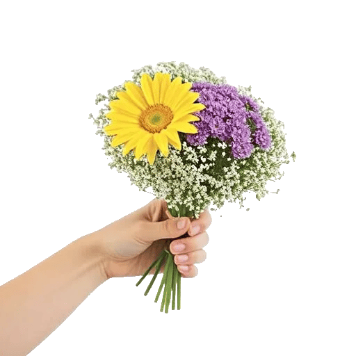 Enchanting Daisy Garden