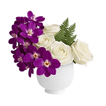 Modern White Orchids