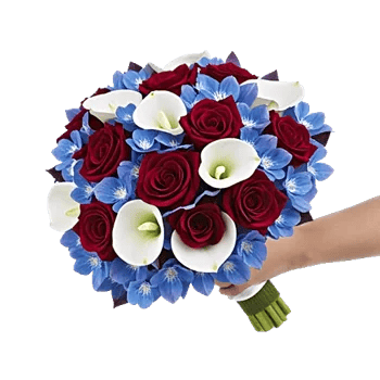 Blushing Rose Symphony