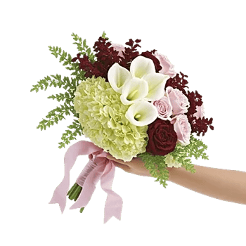 Delicate Petal Cascade