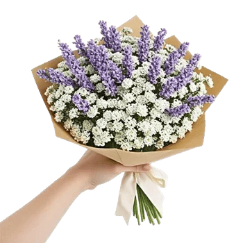 Blossom Radiant Whisper