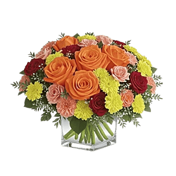 Petal Radiance Bliss