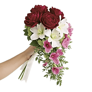 Delicate Petal Cascade