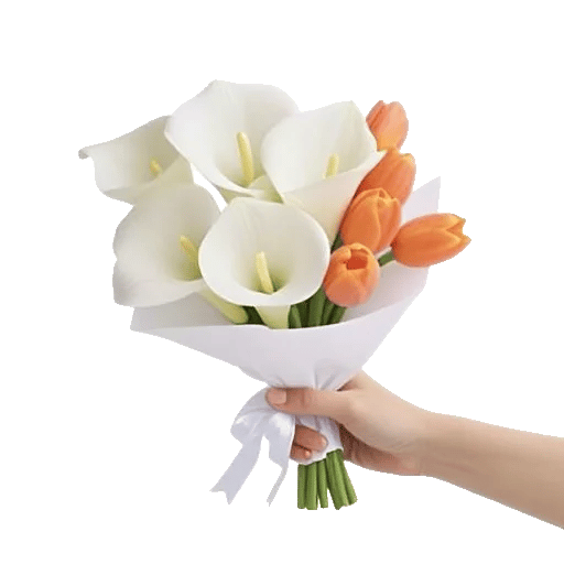 Elegant Calla Lilies