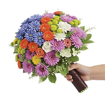 Pastel Blossom Grace