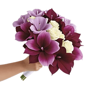 Elegant Calla Lilies