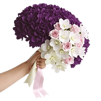 Orchid Bloom Cascade