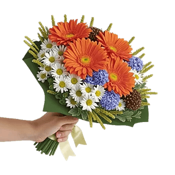 Radiant Bloom Cascade