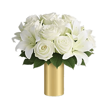 Ivory Blossom Radiance