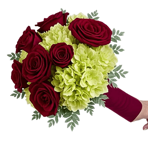 Crimson Rose Elegance