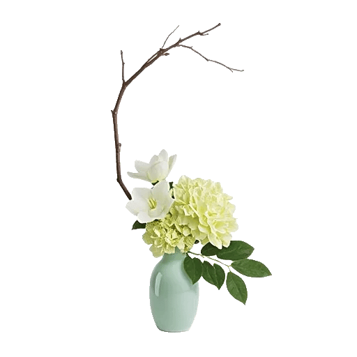 Cherry Blossom Magic