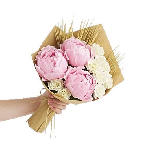 Peony Petal Harmony
