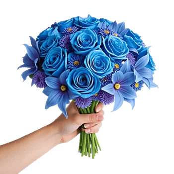 Elegant Blue Roses
