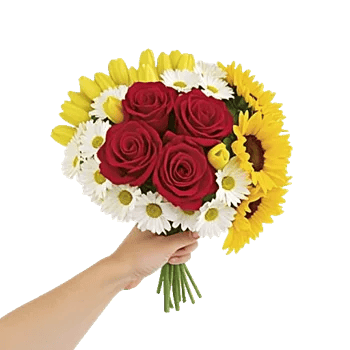 Crimson Rose Elegance