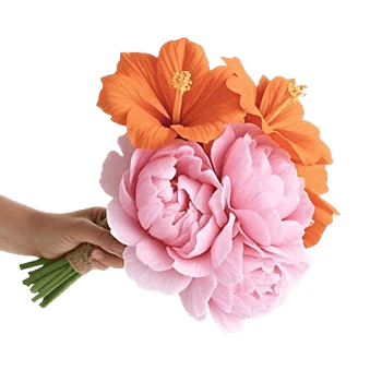 Peony Petal Harmony