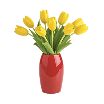 Velvet Tulip Display