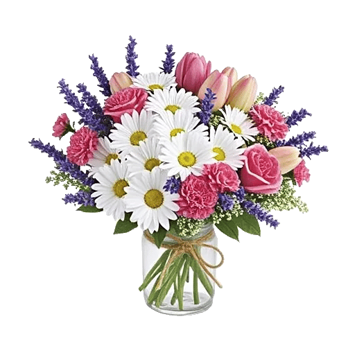 Enchanting Daisy Garden