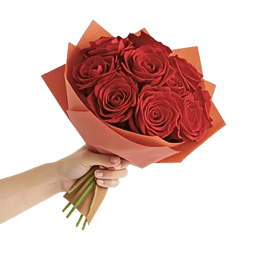 Petal Radiance Bliss