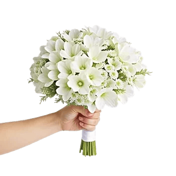 Delicate Petal Cascade