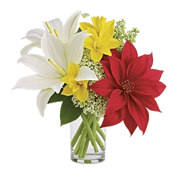 Graceful Lily Display