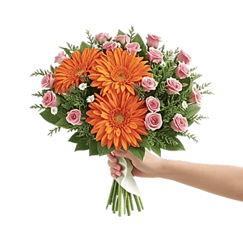 Petal Harmony Bliss