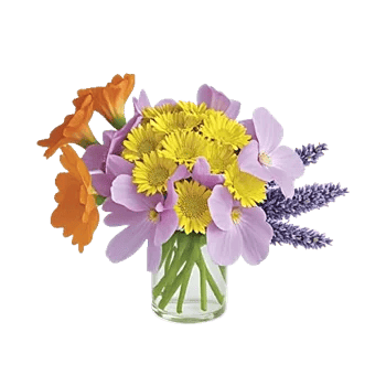 Petal Radiance Bliss