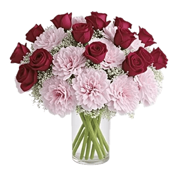 Pink Pastel Roses