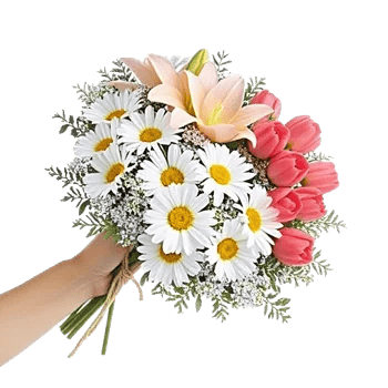 Blossom Harmony Display