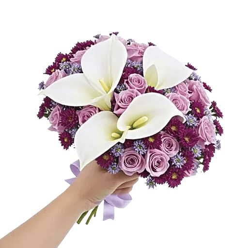 Elegant Calla Lilies