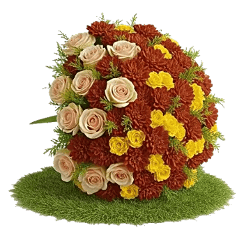 Petal Harmony Bliss