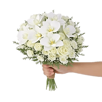 Minimalist White Orchids