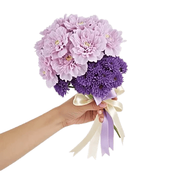 Delicate Petal Cascade