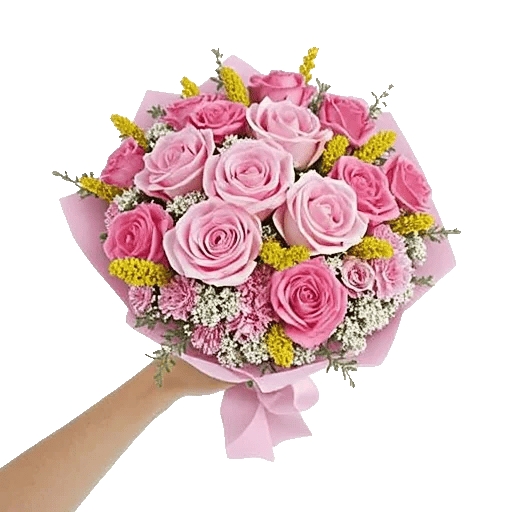 Pastel Pink Roses