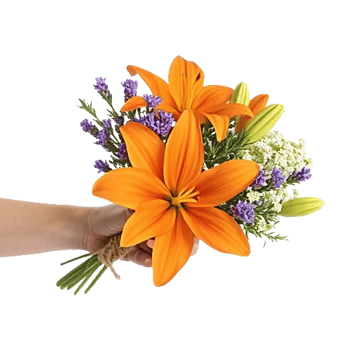 Blossom Glow Symphony