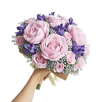 Peony Petal Harmony