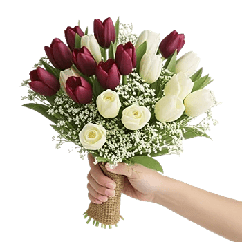 Velvet Tulip Display