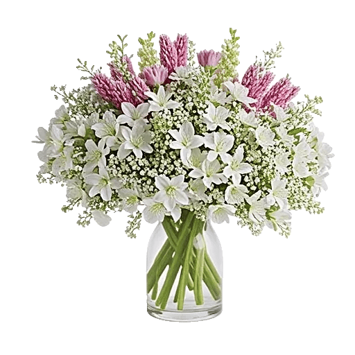 Ivory Blossom Radiance
