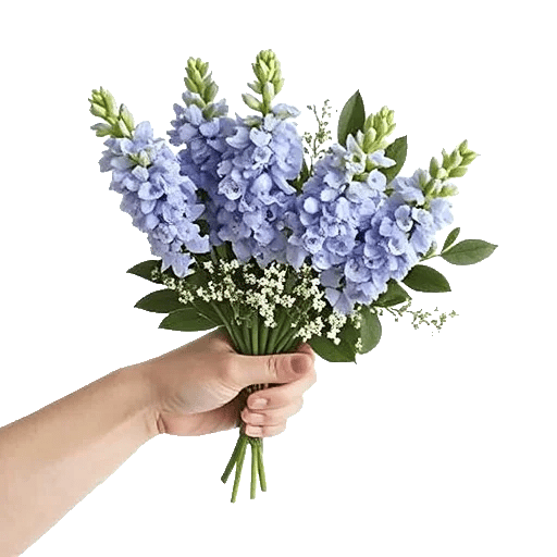 Lavender Bloom Grace