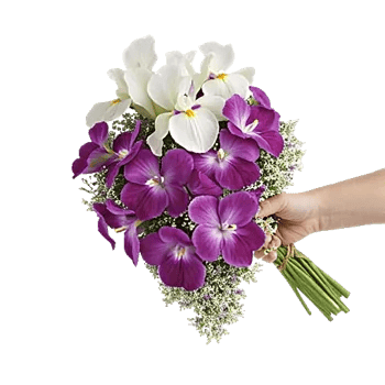 Orchid Bloom Cascade