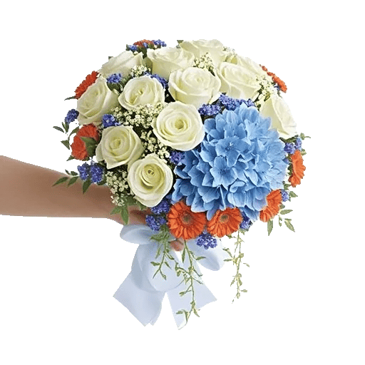 Serene Petal Harmony