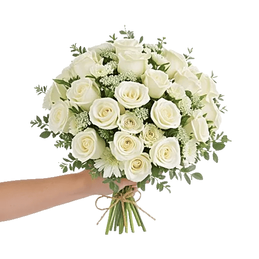Ivory Garden Grace