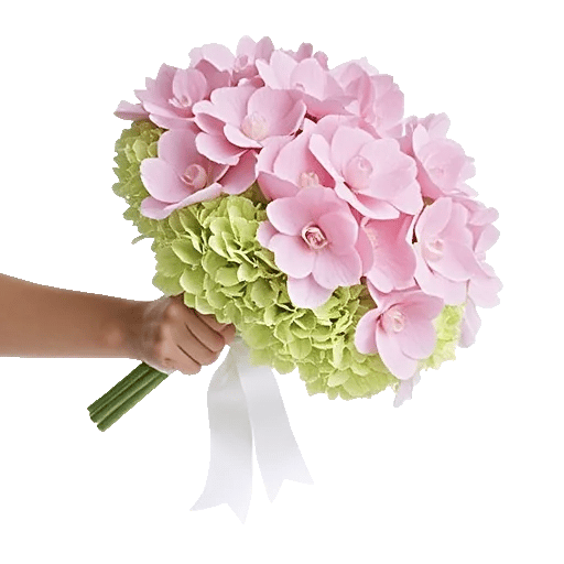 Serene Petal Harmony